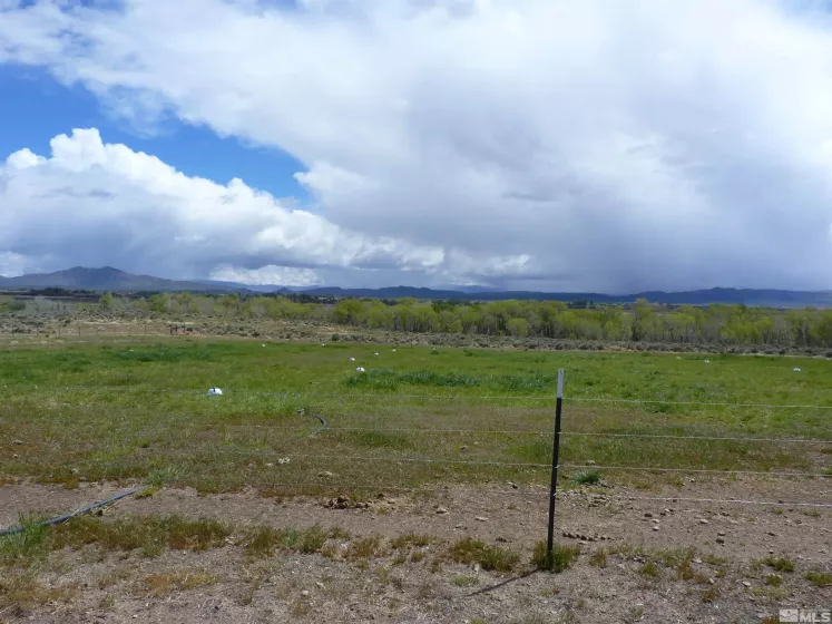 10 Lower Colony, Wellington, Nevada 89444, ,Land,Residential,Lower Colony,240004660