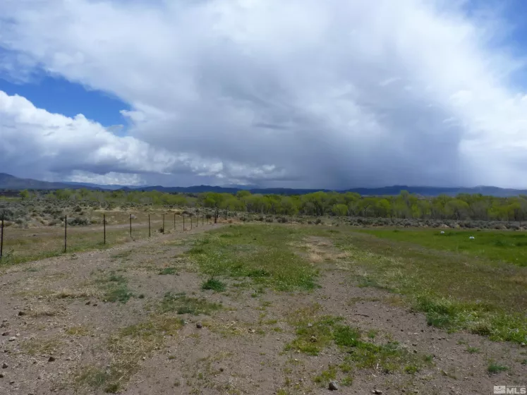 10 Lower Colony, Wellington, Nevada 89444, ,Land,Residential,Lower Colony,240004660