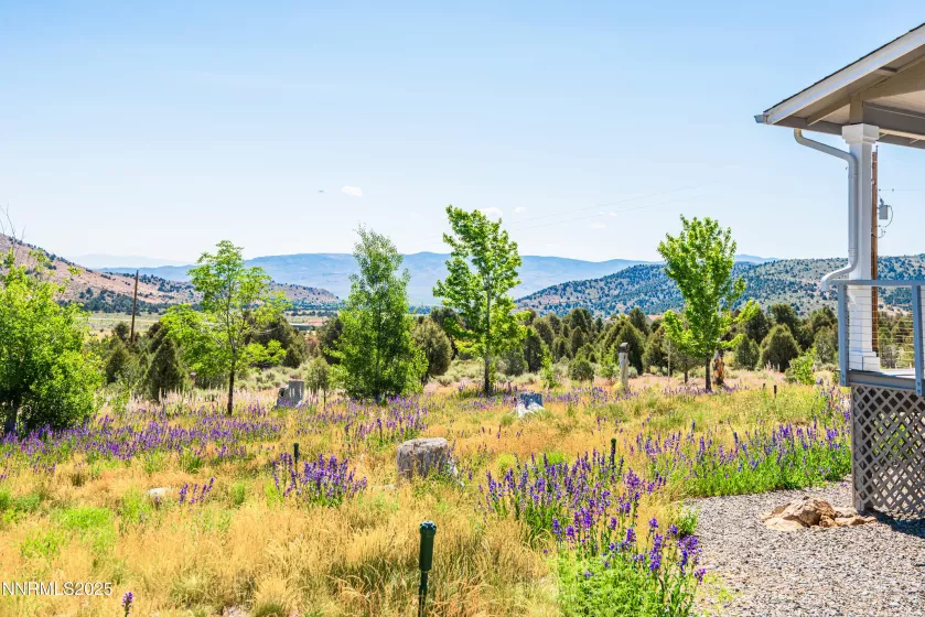 1533 Alba, Gardnerville, Nevada 89410, 4 Bedrooms Bedrooms, ,3 BathroomsBathrooms,Residential,Residential,Alba,250052579