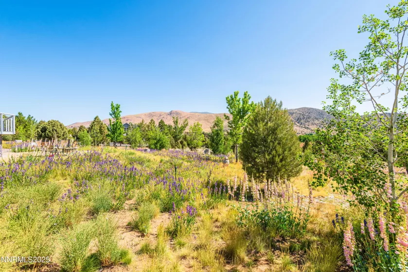 1533 Alba, Gardnerville, Nevada 89410, 4 Bedrooms Bedrooms, ,3 BathroomsBathrooms,Residential,Residential,Alba,250052579