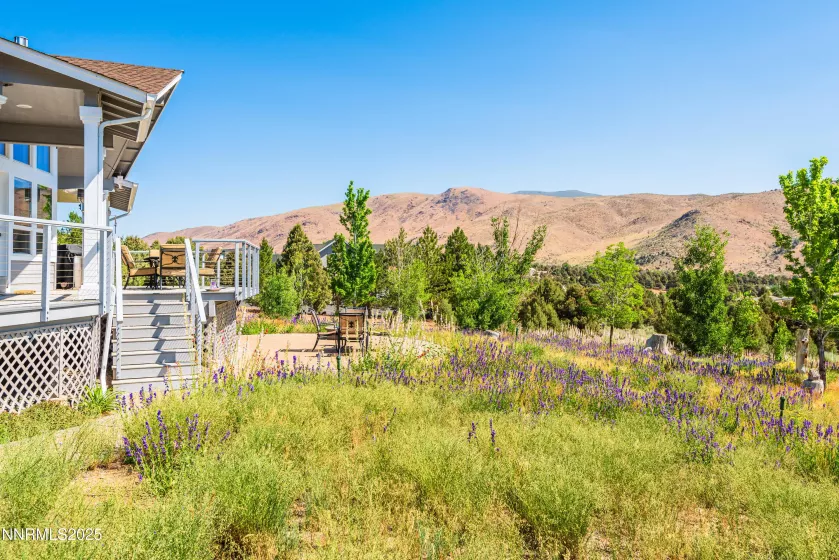 1533 Alba, Gardnerville, Nevada 89410, 4 Bedrooms Bedrooms, ,3 BathroomsBathrooms,Residential,Residential,Alba,250052579