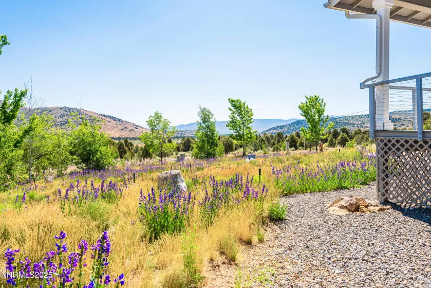 1533 Alba, Gardnerville, Nevada 89410, 4 Bedrooms Bedrooms, ,3 BathroomsBathrooms,Residential,Residential,Alba,250052579