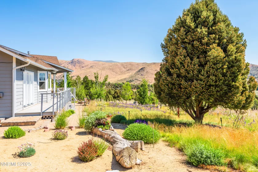 1533 Alba, Gardnerville, Nevada 89410, 4 Bedrooms Bedrooms, ,3 BathroomsBathrooms,Residential,Residential,Alba,250052579