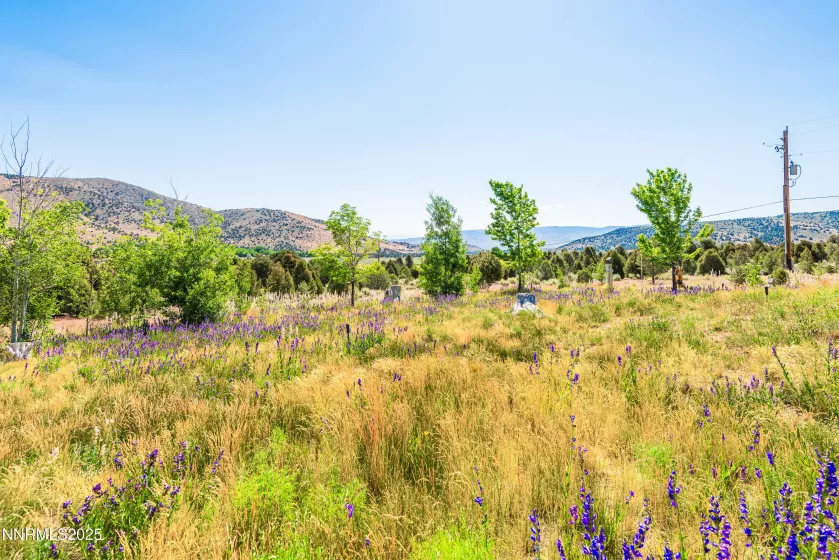 1533 Alba, Gardnerville, Nevada 89410, 4 Bedrooms Bedrooms, ,3 BathroomsBathrooms,Residential,Residential,Alba,250052579