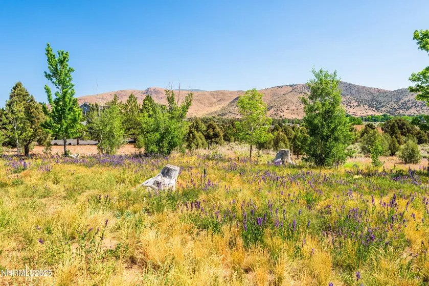 1533 Alba, Gardnerville, Nevada 89410, 4 Bedrooms Bedrooms, ,3 BathroomsBathrooms,Residential,Residential,Alba,250052579