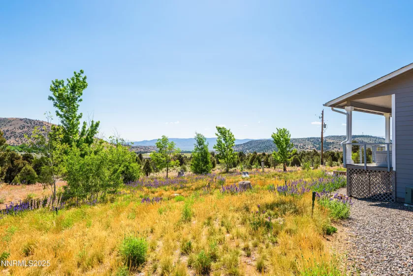 1533 Alba, Gardnerville, Nevada 89410, 4 Bedrooms Bedrooms, ,3 BathroomsBathrooms,Residential,Residential,Alba,250052579