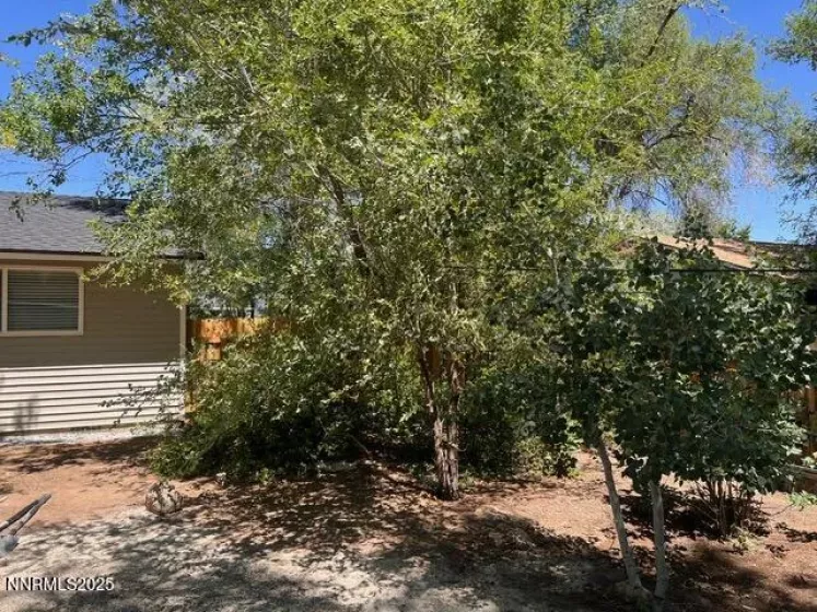 9180 Fremont, Reno, Nevada 89506, 3 Bedrooms Bedrooms, ,1 BathroomBathrooms,Residential,Residential,Fremont,250052582