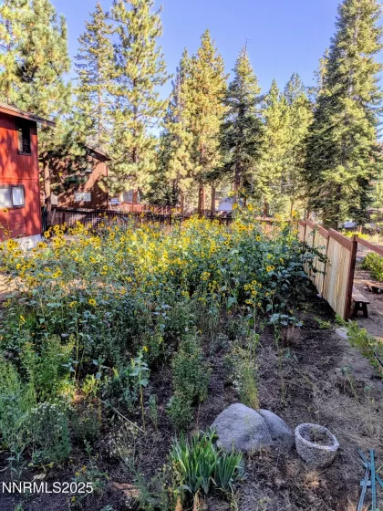 139 Rosewood, Stateline, Nevada 89449, 3 Bedrooms Bedrooms, ,2 BathroomsBathrooms,Residential,Residential,Rosewood,250052612