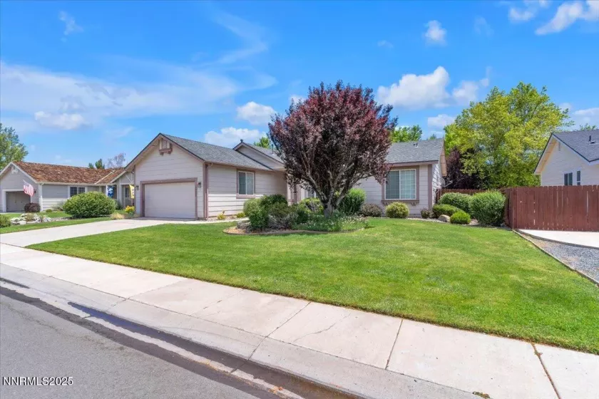 1797 Lantana, Minden, Nevada 89423, 3 Bedrooms Bedrooms, ,2 BathroomsBathrooms,Residential,Residential,Lantana,250052605