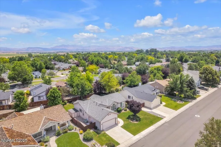 1797 Lantana, Minden, Nevada 89423, 3 Bedrooms Bedrooms, ,2 BathroomsBathrooms,Residential,Residential,Lantana,250052605