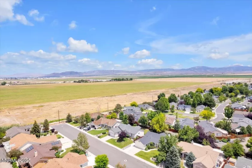 1797 Lantana, Minden, Nevada 89423, 3 Bedrooms Bedrooms, ,2 BathroomsBathrooms,Residential,Residential,Lantana,250052605