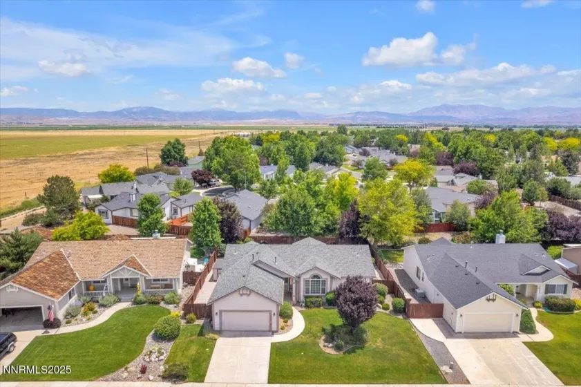 1797 Lantana, Minden, Nevada 89423, 3 Bedrooms Bedrooms, ,2 BathroomsBathrooms,Residential,Residential,Lantana,250052605