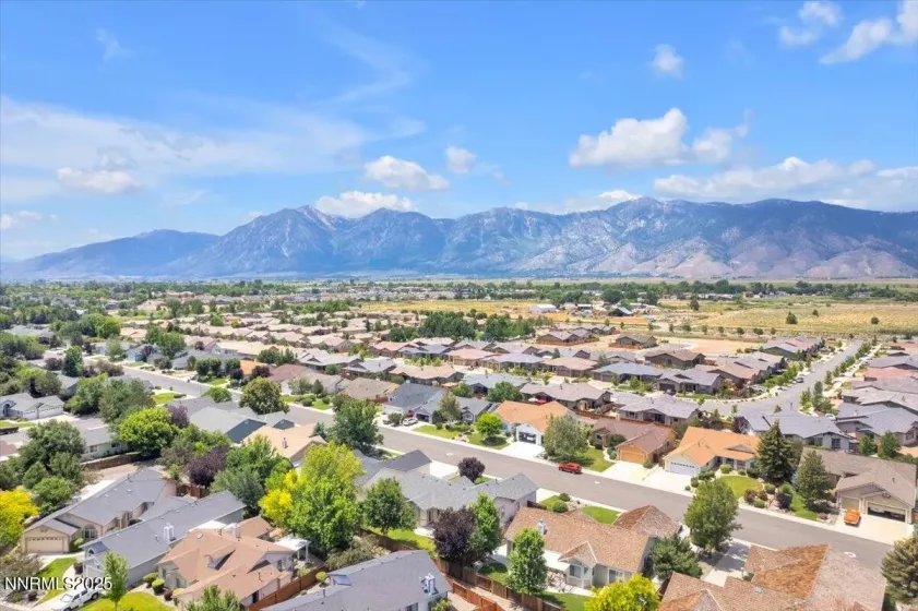 1797 Lantana, Minden, Nevada 89423, 3 Bedrooms Bedrooms, ,2 BathroomsBathrooms,Residential,Residential,Lantana,250052605