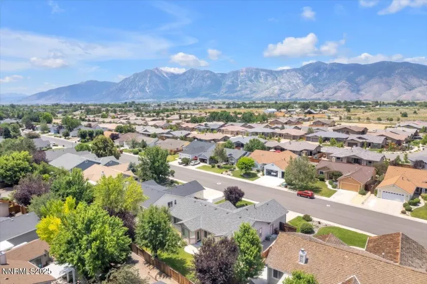 1797 Lantana, Minden, Nevada 89423, 3 Bedrooms Bedrooms, ,2 BathroomsBathrooms,Residential,Residential,Lantana,250052605