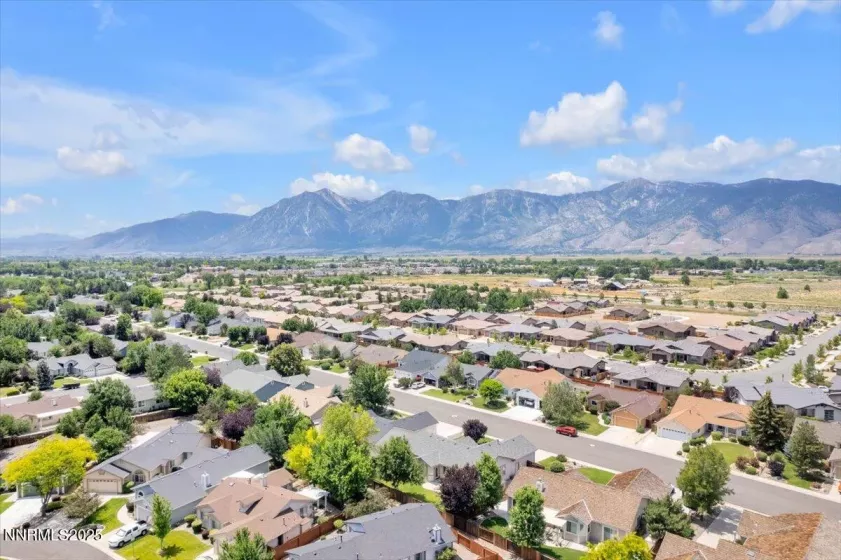 1797 Lantana, Minden, Nevada 89423, 3 Bedrooms Bedrooms, ,2 BathroomsBathrooms,Residential,Residential,Lantana,250052605