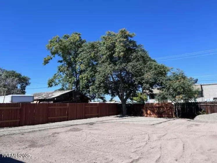 Backyard