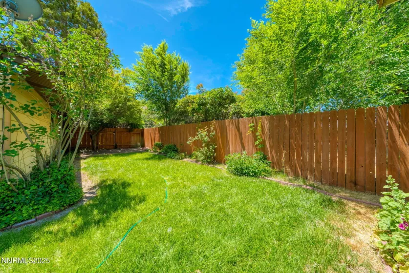 Side yard