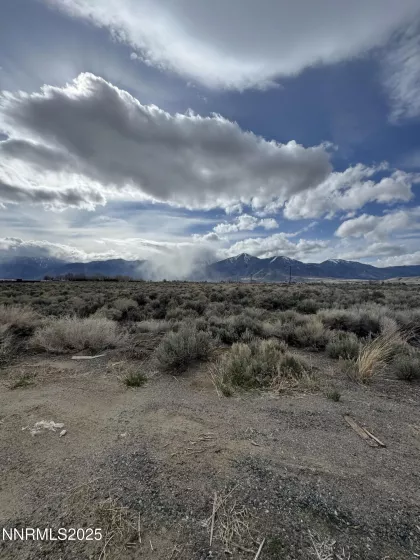 2596 Nowlin, Minden, Nevada 89423, ,Land,Residential,Nowlin,250052668