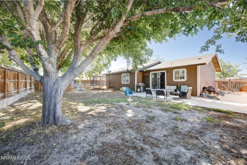 1866 Albert, Fallon, Nevada 89406, 3 Bedrooms Bedrooms, ,2 BathroomsBathrooms,Residential,Residential,Albert,250052678