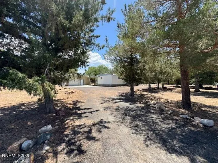 2781 Nye, Carson City, Nevada 89706, ,Land,Residential,Nye,250052677