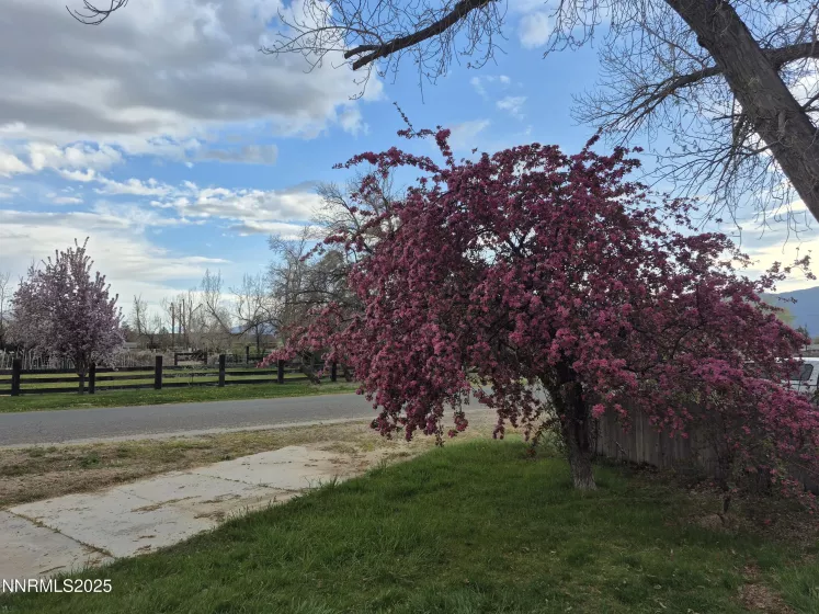 1312 Saratoga, Minden, Nevada 89423, 4 Bedrooms Bedrooms, ,2 BathroomsBathrooms,Residential,Residential,Saratoga,250052680