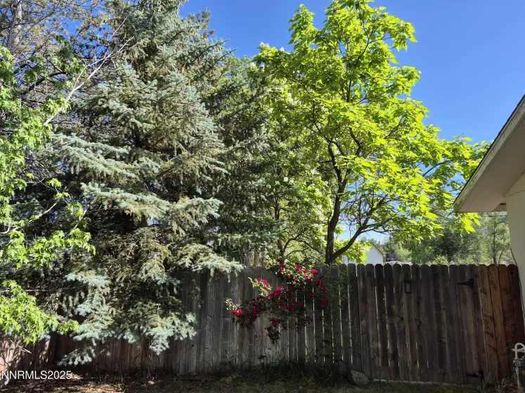 1312 Saratoga, Minden, Nevada 89423, 4 Bedrooms Bedrooms, ,2 BathroomsBathrooms,Residential,Residential,Saratoga,250052680
