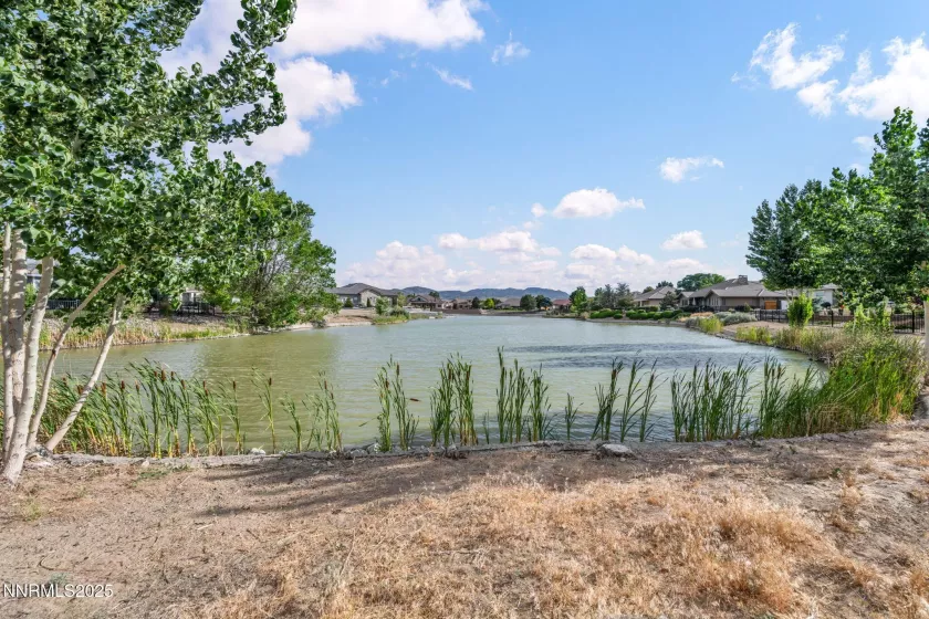 363 Bayhill, Dayton, Nevada 89403, 4 Bedrooms Bedrooms, ,3 BathroomsBathrooms,Residential,Residential,Bayhill,250052724