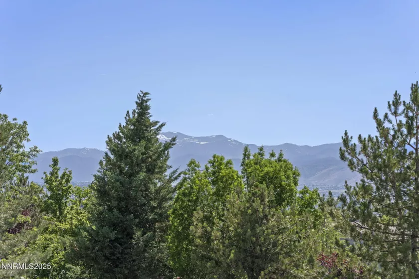 9900 Wilbur May, Reno, Nevada 89521, 3 Bedrooms Bedrooms, ,2 BathroomsBathrooms,Residential,Residential,Wilbur May,250052725