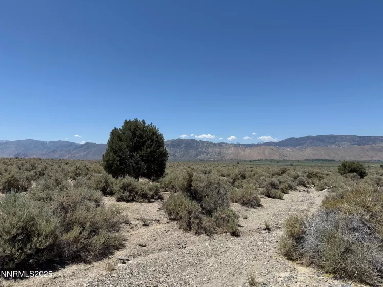 APN 092307000015, Gardnerville, Nevada 89410, ,Land,Residential,092307000015,250052727