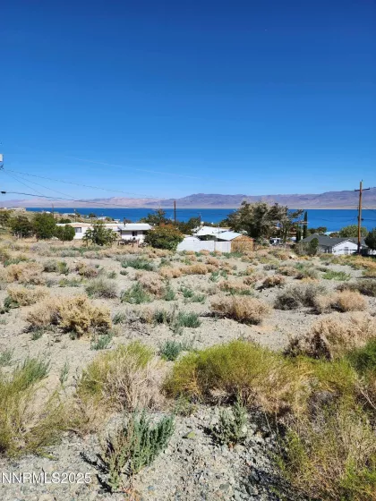 539 Walker, Walker Lake, Nevada 89415, ,Land,Residential,Walker,250052731