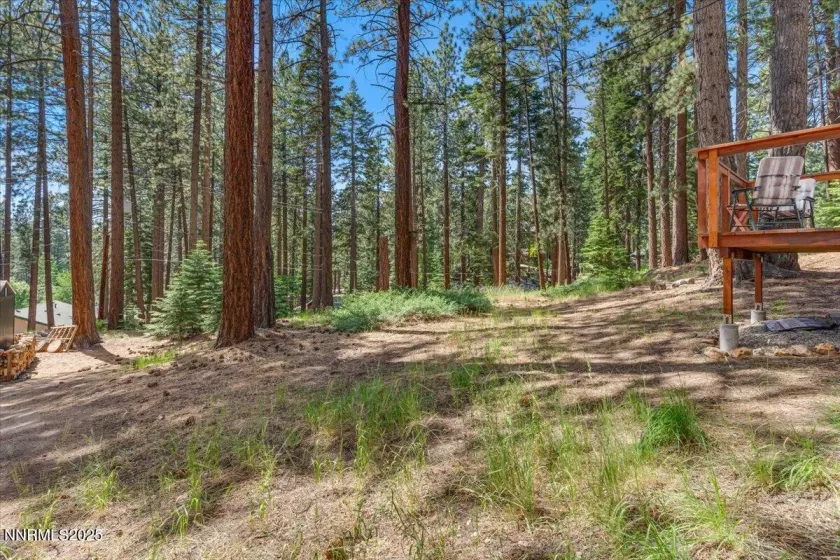170 Pine, Stateline, Nevada 89449, 5 Bedrooms Bedrooms, ,2 BathroomsBathrooms,Residential,Residential,Pine,250052740