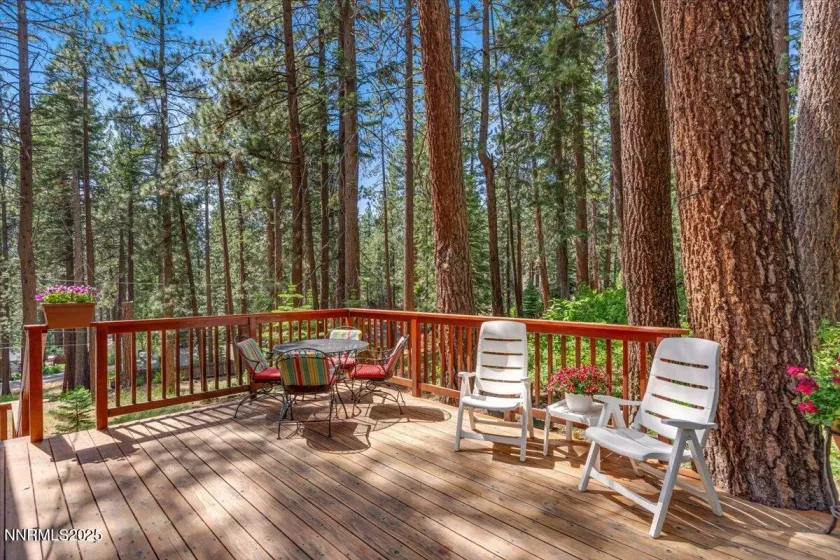 170 Pine, Stateline, Nevada 89449, 5 Bedrooms Bedrooms, ,2 BathroomsBathrooms,Residential,Residential,Pine,250052740