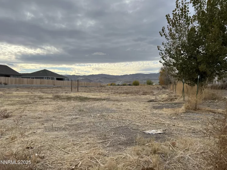 41 NV-208, Yerington, Nevada 89447, ,Land,Residential,NV-208,250052791
