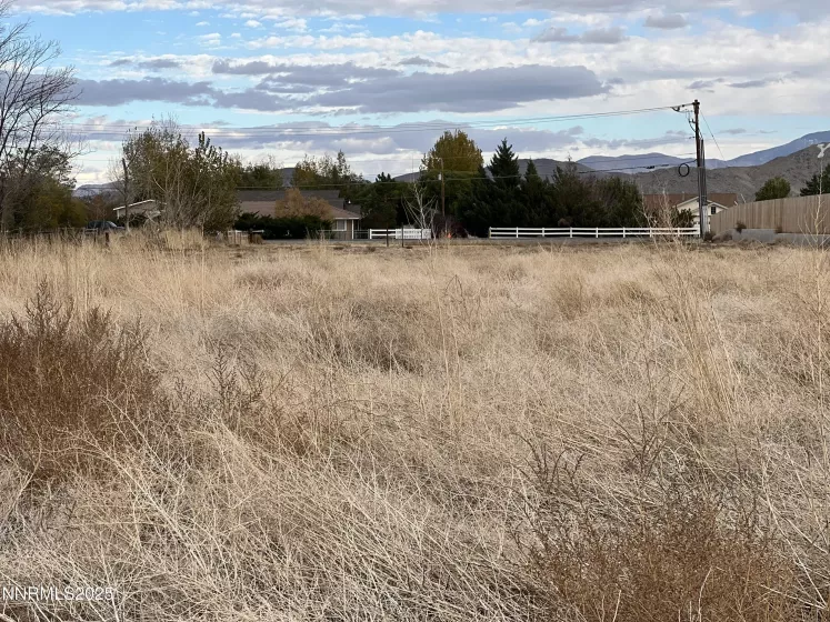 41 NV-208, Yerington, Nevada 89447, ,Land,Residential,NV-208,250052791