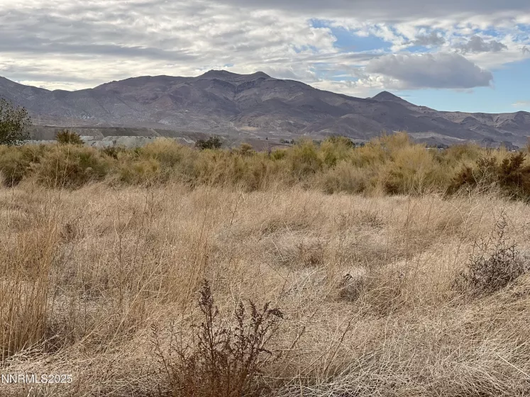 41 NV-208, Yerington, Nevada 89447, ,Land,Residential,NV-208,250052791