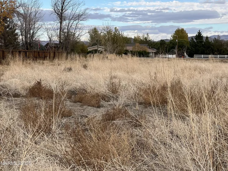41 NV-208, Yerington, Nevada 89447, ,Land,Residential,NV-208,250052791