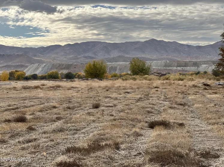 41 NV-208, Yerington, Nevada 89447, ,Land,Residential,NV-208,250052791
