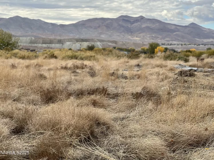 41 NV-208, Yerington, Nevada 89447, ,Land,Residential,NV-208,250052791