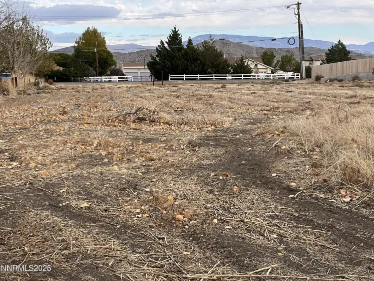 41 NV-208, Yerington, Nevada 89447, ,Land,Residential,NV-208,250052791