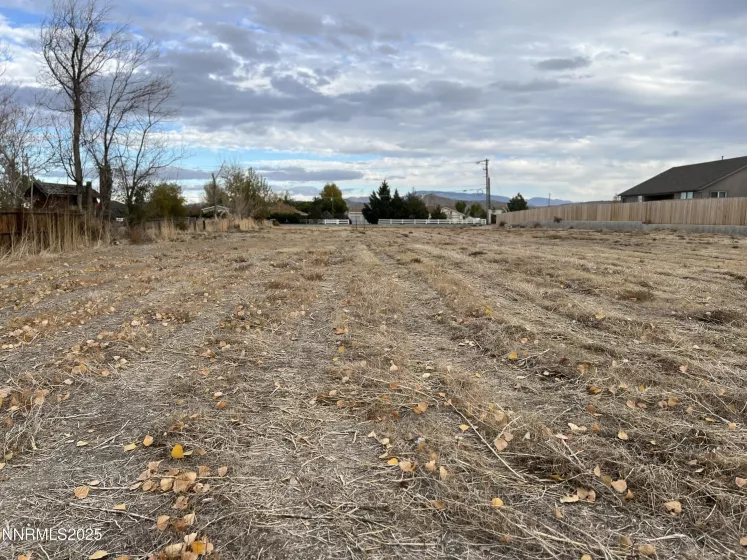41 NV-208, Yerington, Nevada 89447, ,Land,Residential,NV-208,250052791