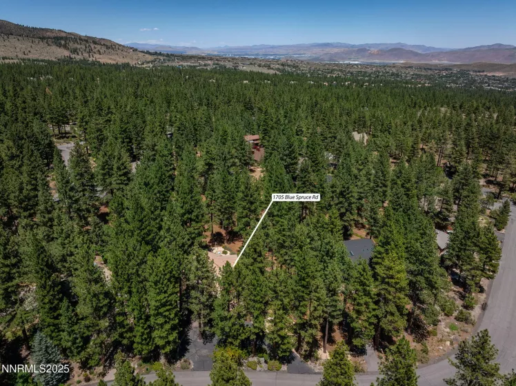 1705 Blue Spruce, Reno, Nevada 89511, 4 Bedrooms Bedrooms, ,3 BathroomsBathrooms,Residential,Residential,Blue Spruce,250052846