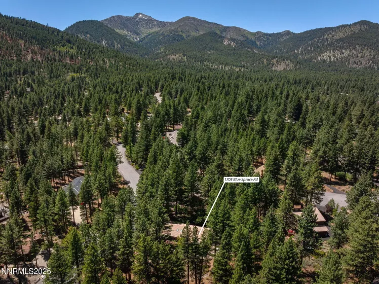 1705 Blue Spruce, Reno, Nevada 89511, 4 Bedrooms Bedrooms, ,3 BathroomsBathrooms,Residential,Residential,Blue Spruce,250052846
