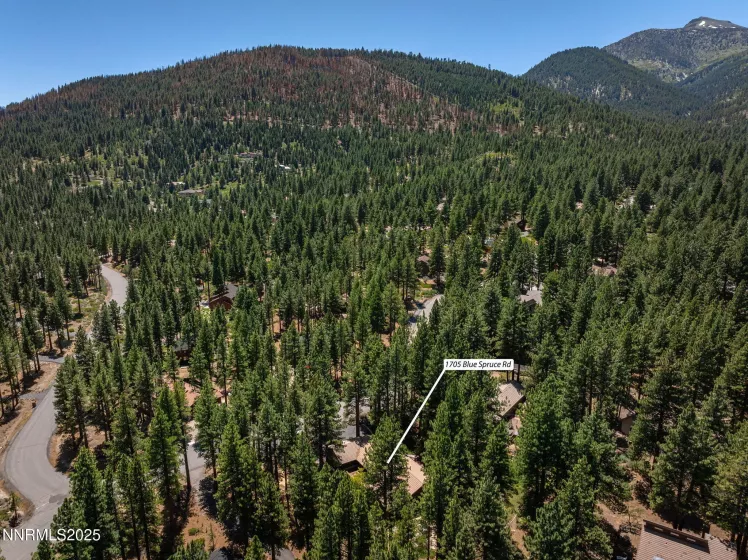 1705 Blue Spruce, Reno, Nevada 89511, 4 Bedrooms Bedrooms, ,3 BathroomsBathrooms,Residential,Residential,Blue Spruce,250052846