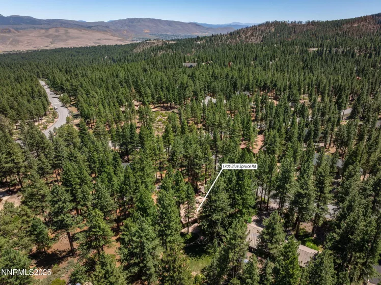 1705 Blue Spruce, Reno, Nevada 89511, 4 Bedrooms Bedrooms, ,3 BathroomsBathrooms,Residential,Residential,Blue Spruce,250052846