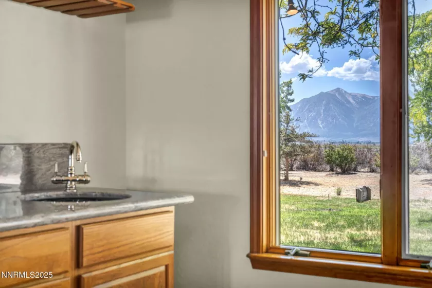 1405 Primrose, Minden, Nevada 89423, 3 Bedrooms Bedrooms, ,3 BathroomsBathrooms,Residential,Residential,Primrose,250052863