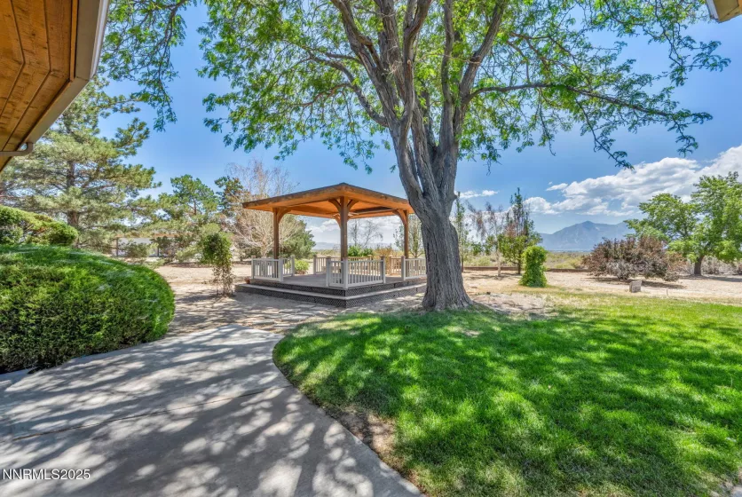 1405 Primrose, Minden, Nevada 89423, 3 Bedrooms Bedrooms, ,3 BathroomsBathrooms,Residential,Residential,Primrose,250052863