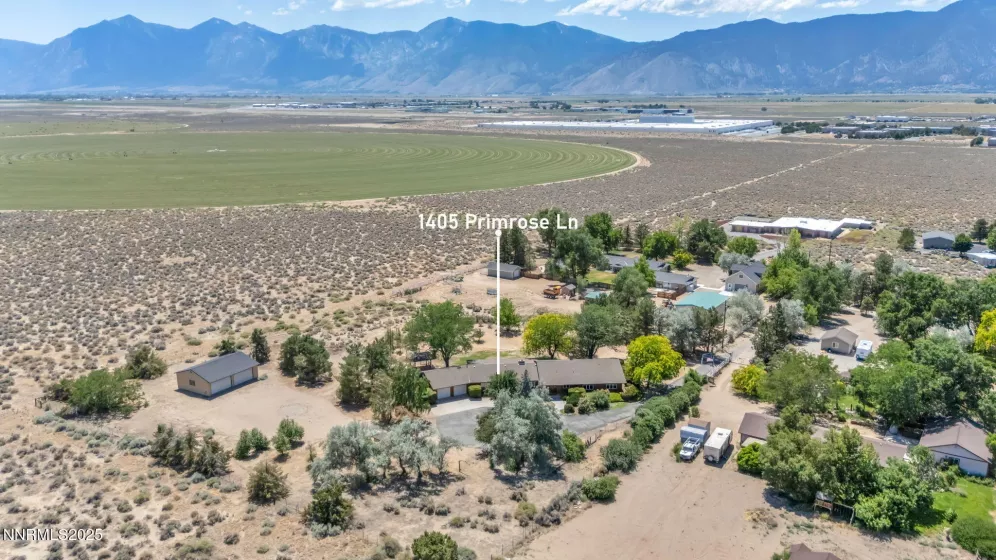 1405 Primrose, Minden, Nevada 89423, 3 Bedrooms Bedrooms, ,3 BathroomsBathrooms,Residential,Residential,Primrose,250052863