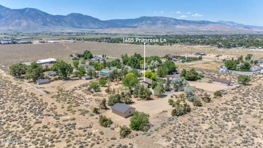 1405 Primrose, Minden, Nevada 89423, 3 Bedrooms Bedrooms, ,3 BathroomsBathrooms,Residential,Residential,Primrose,250052863