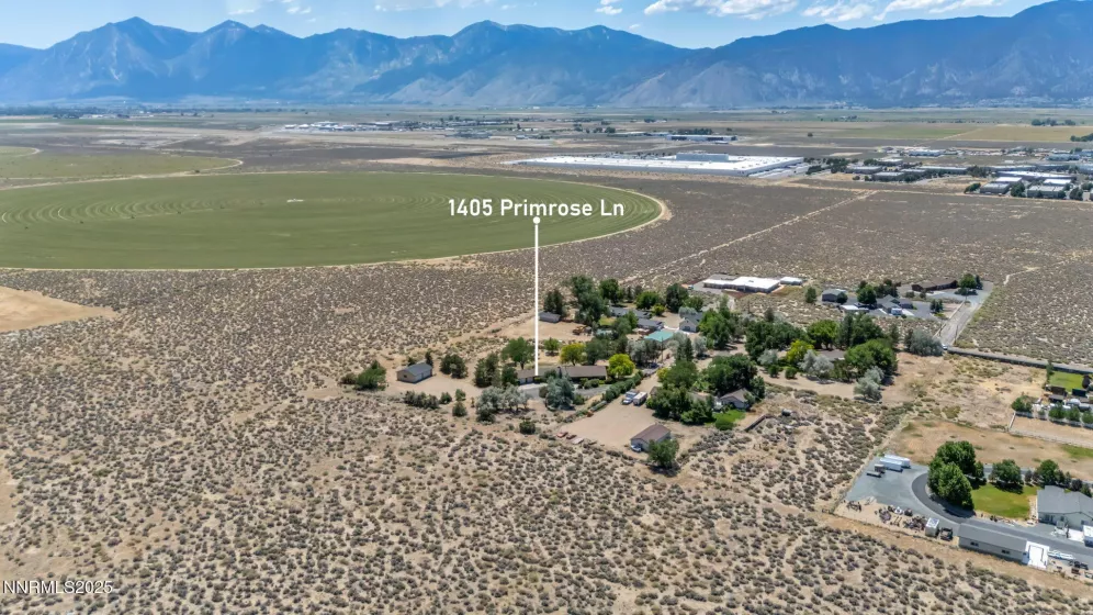 1405 Primrose, Minden, Nevada 89423, 3 Bedrooms Bedrooms, ,3 BathroomsBathrooms,Residential,Residential,Primrose,250052863