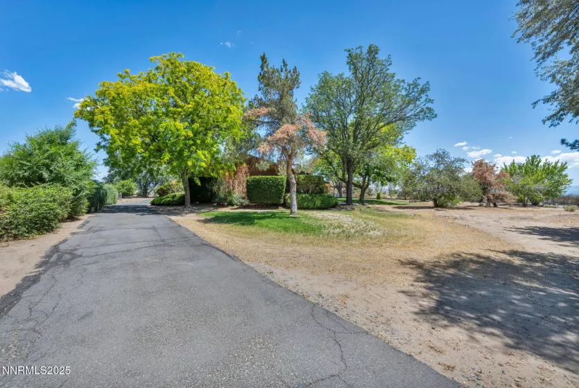 1405 Primrose, Minden, Nevada 89423, 3 Bedrooms Bedrooms, ,3 BathroomsBathrooms,Residential,Residential,Primrose,250052863